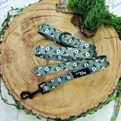 Green Meadow Daisy Dog Lead - Reversible