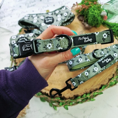 Green Meadow Daisy Dog Collar- Optional Flower Accessory
