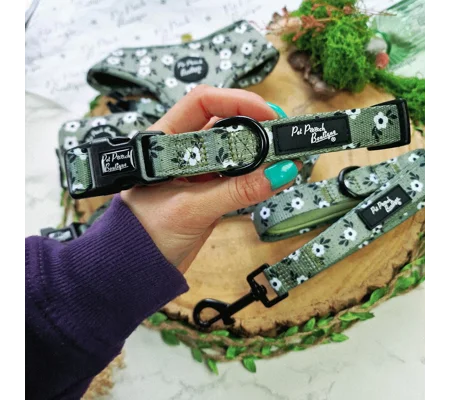 Green Meadow Daisy Dog Collar- Optional Flower Accessory