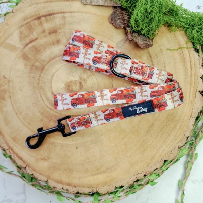 Pumpkin Patch Cart Dog Lead - Reversible