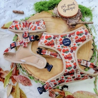 Pumpkin Patch Cart Dog Harness
