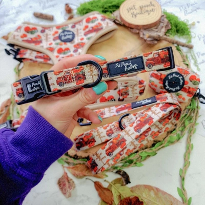Pumpkin Patch Cart Dog Collar