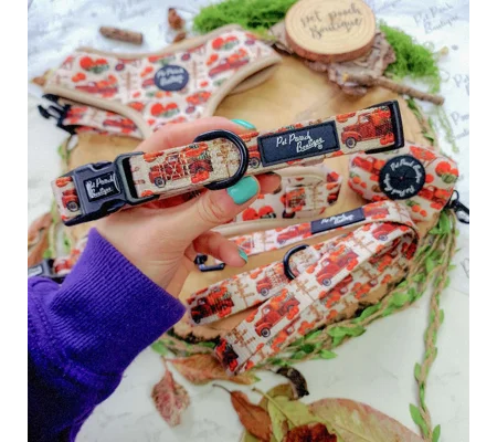 Pumpkin Patch Cart Dog Collar