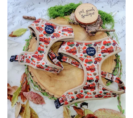 Pumpkin Patch Cart Dog Harness