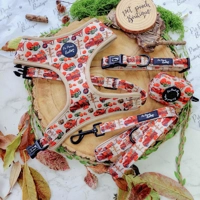 Pumpkin Patch Cart Dog Collar