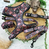 Woodland Hedgehog Dog Harness
