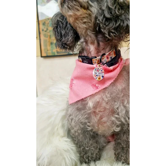Dusty Rose Pink Denim Raw Edge Dog Bandana