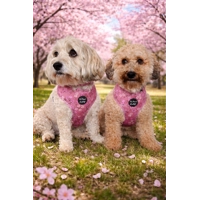Old Garden Bloom Dog Harness