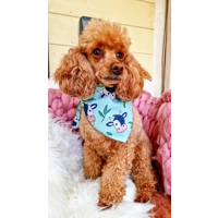 Classic Moo Cow Dog Bandana