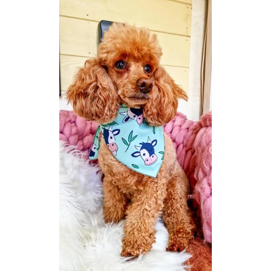 Classic Moo Cow Dog Bandana