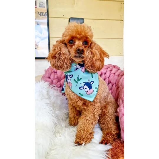 Classic Moo Cow Dog Bandana