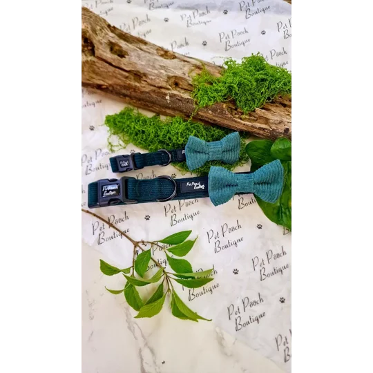 Fern Green Cord Dog Bow Tie