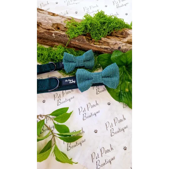 Fern Green Cord Dog Bow Tie