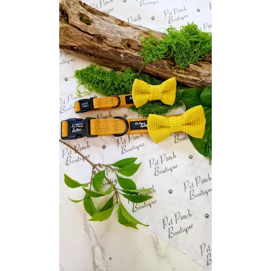 Sunshine Yellow Cord Dog Bow Tie
