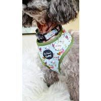 Countryside Ducks ID Dog Tag - NEW STYLE