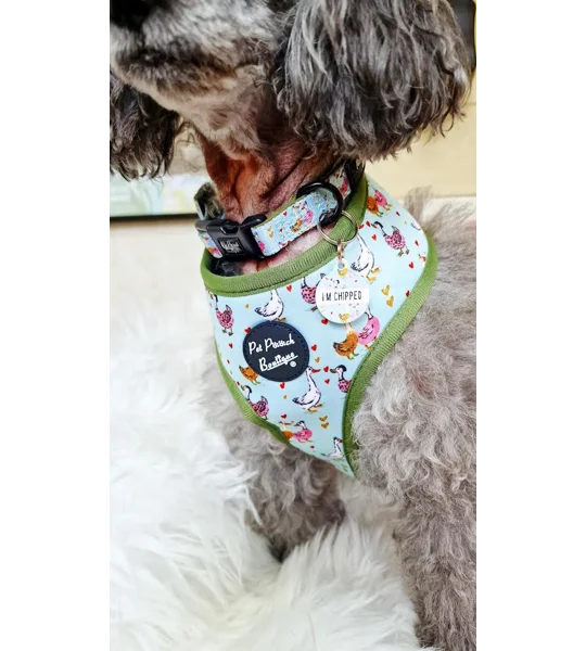 Countryside Ducks ID Dog Tag - NEW STYLE