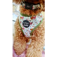 Countryside Ducks ID Dog Tag - NEW STYLE