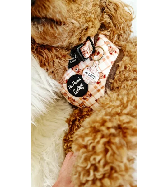 Vintage Bear ID Dog Tag - NEW STYLE