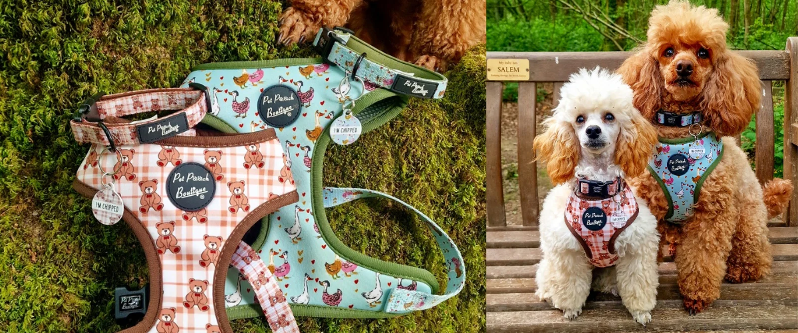 Just arrived - new harnesses on moss and two poodles on a bench