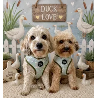 Countryside Ducks ID Dog Tag - NEW STYLE