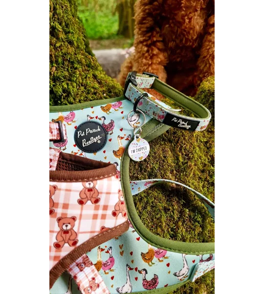 Countryside Ducks ID Dog Tag - NEW STYLE