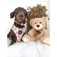 Vintage Bear Gingham Dog Collar