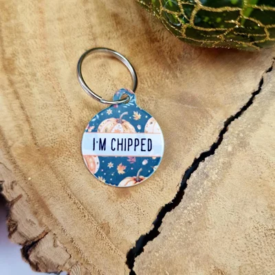 Harvest Pumpkin Patch ID Dog Tag - NEW STYLE