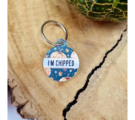Harvest Pumpkin Patch ID Dog Tag - NEW STYLE
