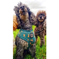 Wild Meadow Bunny Dog Harness