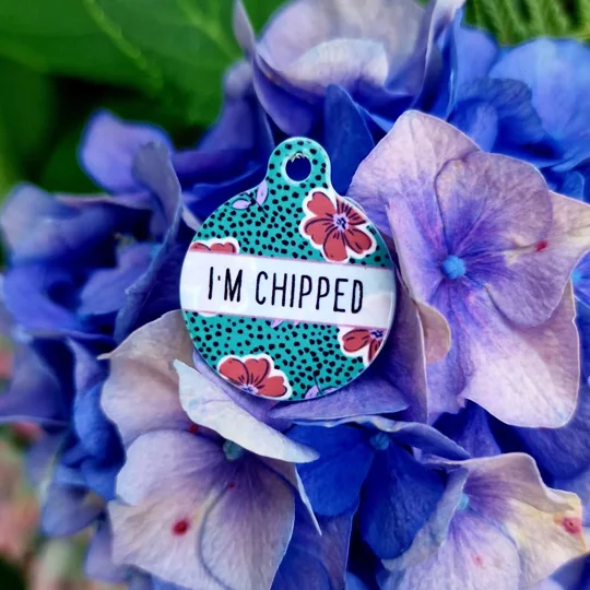 Dotty Green Daisy ID Dog Tag - NEW STYLE