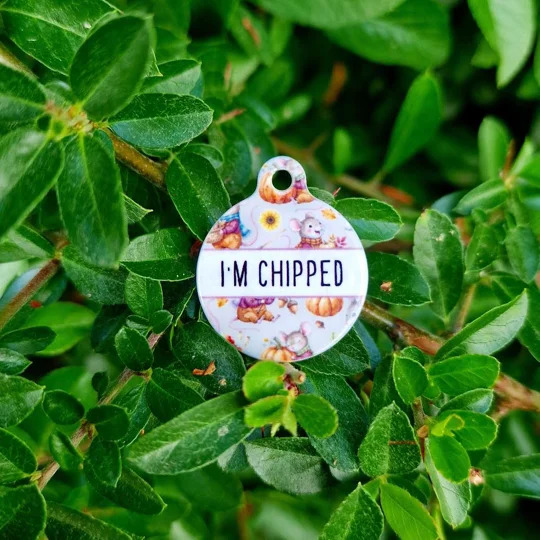 Harvest Mouse ID Dog Tag - NEW STYLE