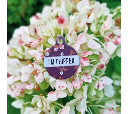 Happy Little Acorns ID Dog Tag - NEW STYLE