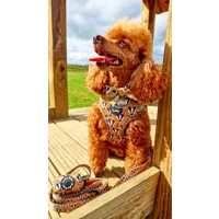 Woodland Badger Dog Lead - Reversible