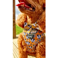 Woodland Badger Dog Bow Tie