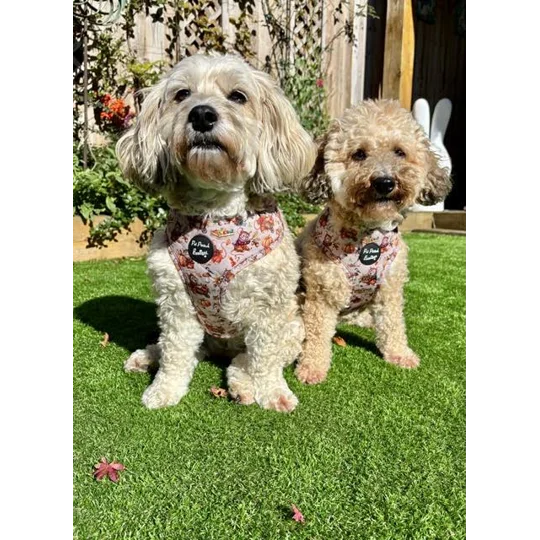 Harvest Mouse Dog Harness