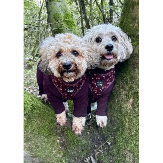 Happy Little Acorns Dog Harness