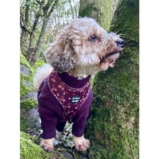 Happy Little Acorns Dog Harness