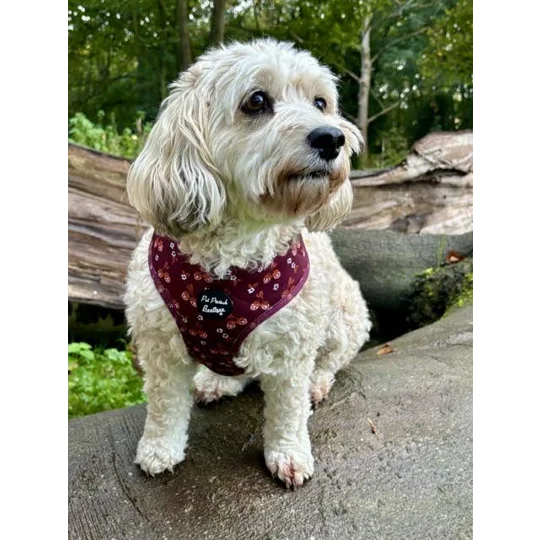 Happy Little Acorns Dog Harness