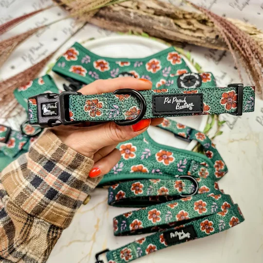 Wild Green Poppy Dog Collar