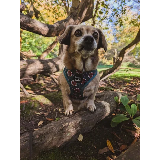 Wild Green Poppy Dog Harness
