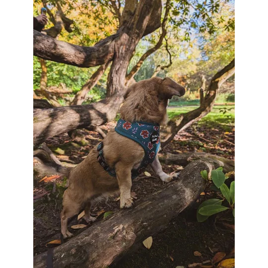 Wild Green Poppy Dog Harness