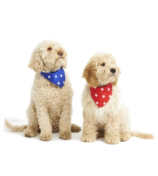 Blue Star Bandana