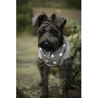 Grey Star Bandana