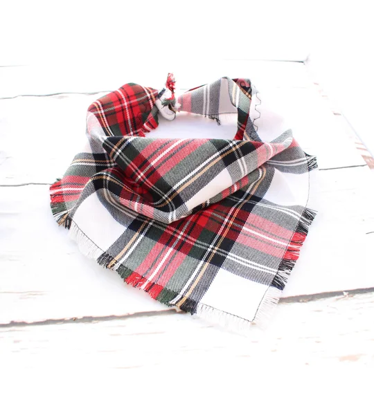 FRAYED Alfies Red & White Plaid Bandana - Scamps