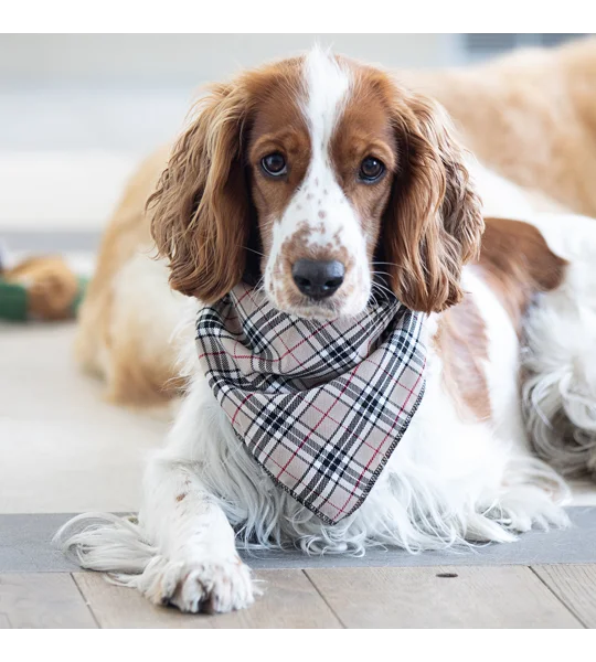 Barkberry Plaid Bandana
