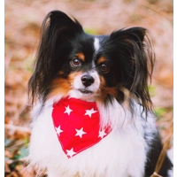 Red Star Bandana