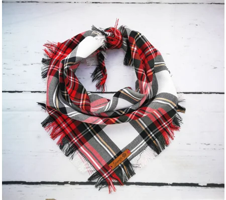 FRAYED Alfies Red & White Plaid Bandana - Scamps