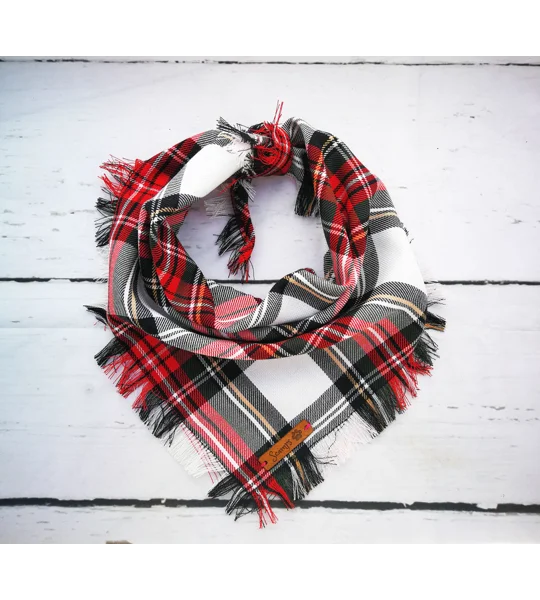 FRAYED Alfies Red & White Plaid Bandana - Scamps
