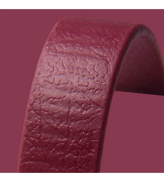 Red Wine Biothane Dog Lead
