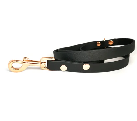 Black Biothane Dog Lead